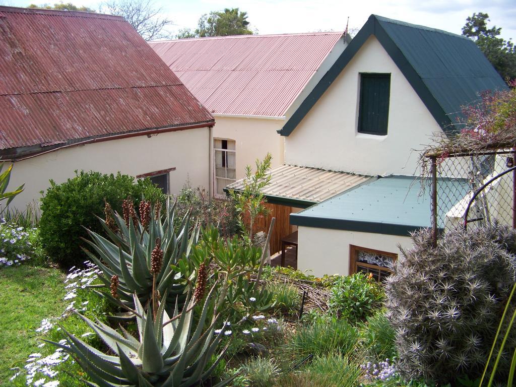 Lemontree Cottage Heidelberg  Dış mekan fotoğraf